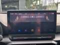 CUPRA Formentor VZ 2.0 TSI DSG Climatronic Navi LED SH Grau - thumbnail 18