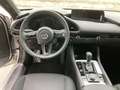 Mazda 3 Mazda 3 e-Skyactiv-G140 Homura Aut. Homura Weiß - thumbnail 6