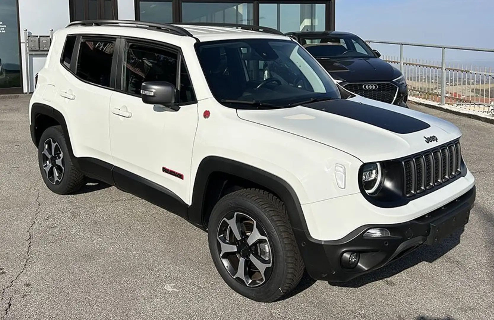 Jeep Renegade Renegade 2.0 mjt Trailhawk 4wd 170cv auto 9m Bianco - 2