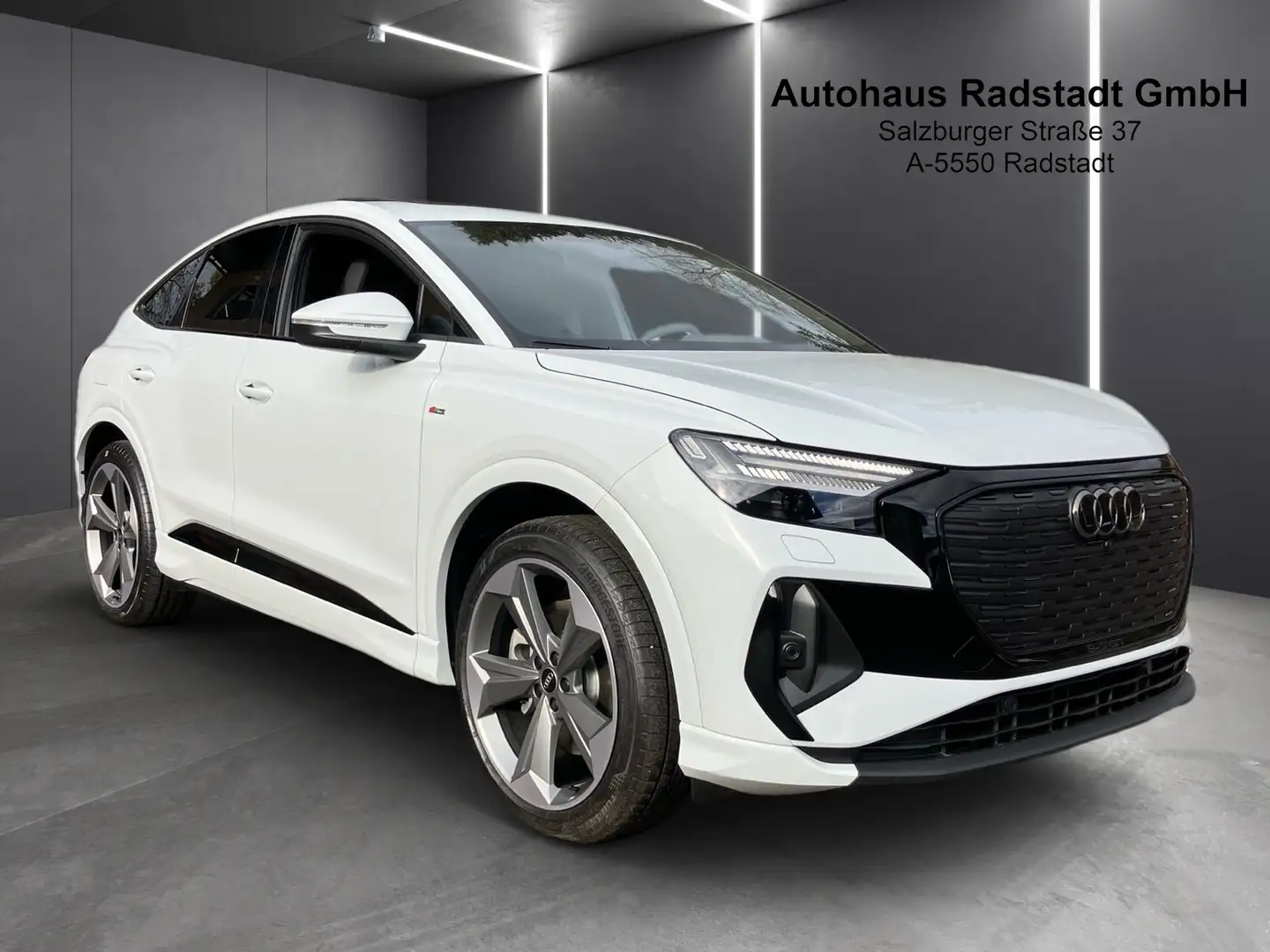Audi e-tron 55 e-tron quattro basis - 2