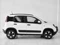 Fiat Panda Panda 1.0 firefly hybrid Cross s Blanco - thumbnail 6