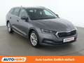 Skoda Octavia 2.0 TDI Style Grau - thumbnail 8