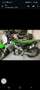 Kawasaki KX 250 Verde - thumbnail 5