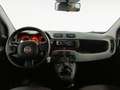 Fiat Panda 1.0 Gse City Cross Hybrid Blanco - thumbnail 6