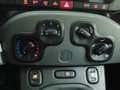 Fiat Panda 1.0 Gse City Cross Hybrid Blanco - thumbnail 16