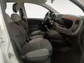 Fiat Panda 1.0 Gse City Cross Hybrid Blanco - thumbnail 10