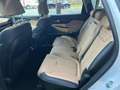 Hyundai SANTA FE Prime Hybrid 4WD Weiß - thumbnail 7