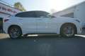 BMW X2 xDrive20d M Sport LED Navi PDC Tempomat Blanc - thumbnail 2