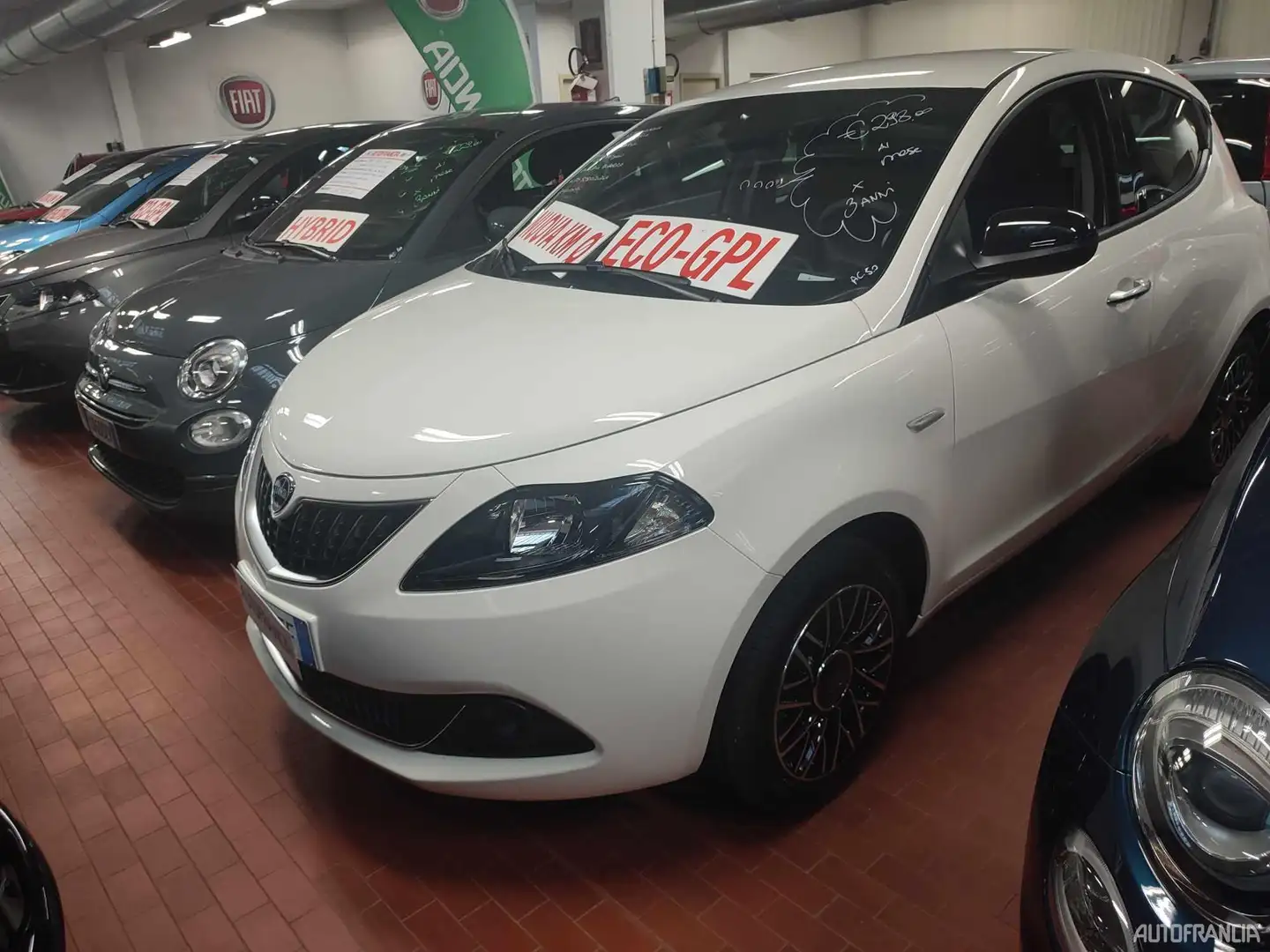 Lancia YPSILON - 1.2 69CV ECOCHIC GPL Blanco - 2