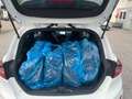 Ford Fiesta ST/B&O/Perform.-Leder Paket uvm Weiß - thumbnail 11