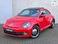 Volkswagen Beetle 1.2 TSI Exclusive Pano Leder Xenon CarPlay Stoelve Rouge - thumbnail 1