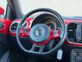 Volkswagen Beetle 1.2 TSI Exclusive Pano Leder Xenon CarPlay Stoelve Rouge - thumbnail 14