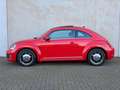 Volkswagen Beetle 1.2 TSI Exclusive Pano Leder Xenon CarPlay Stoelve Rouge - thumbnail 4