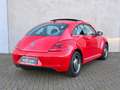 Volkswagen Beetle 1.2 TSI Exclusive Pano Leder Xenon CarPlay Stoelve Rouge - thumbnail 6