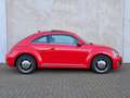 Volkswagen Beetle 1.2 TSI Exclusive Pano Leder Xenon CarPlay Stoelve Rouge - thumbnail 7