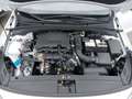 Hyundai i30 PD GO Plus 1.0 TGDI c5bu2 Weiß - thumbnail 19
