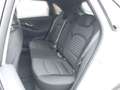 Hyundai i30 PD GO Plus 1.0 TGDI c5bu2 Weiß - thumbnail 10