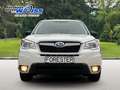 Subaru Forester Active, 8-fach bereift, gutes FZG Weiß - thumbnail 2