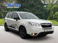 Subaru Forester Active, 8-fach bereift, gutes FZG Weiß - thumbnail 3