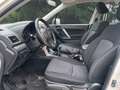 Subaru Forester Active, 8-fach bereift, gutes FZG Weiß - thumbnail 9
