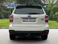 Subaru Forester Active, 8-fach bereift, gutes FZG Weiß - thumbnail 6