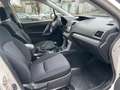 Subaru Forester Active, 8-fach bereift, gutes FZG Weiß - thumbnail 15