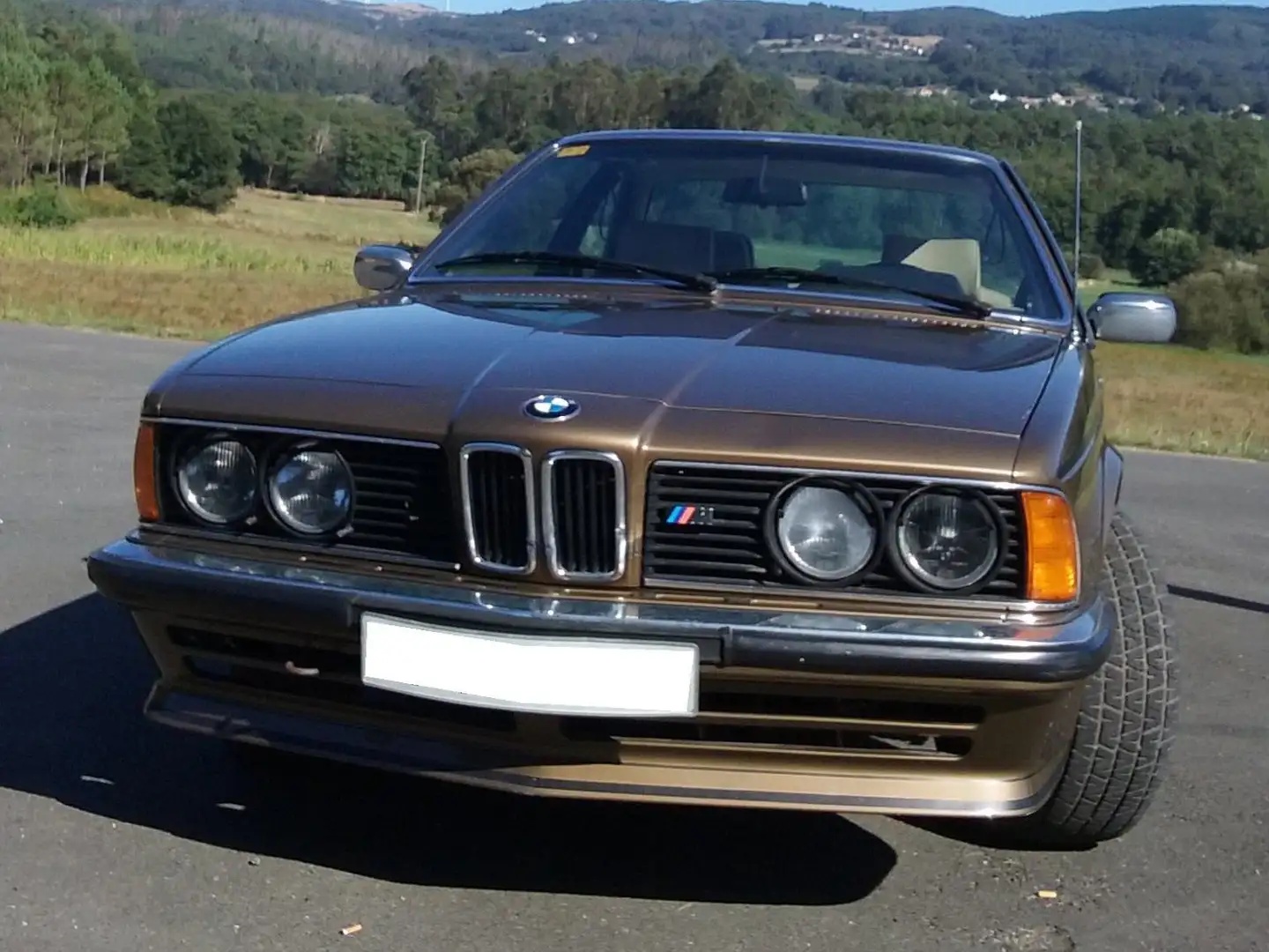 BMW 635 M635 CSI Gold - 2