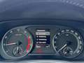 Skoda Octavia Combi 1.5 e-TSI Business Edition | Trekhaak | Appl Noir - thumbnail 15