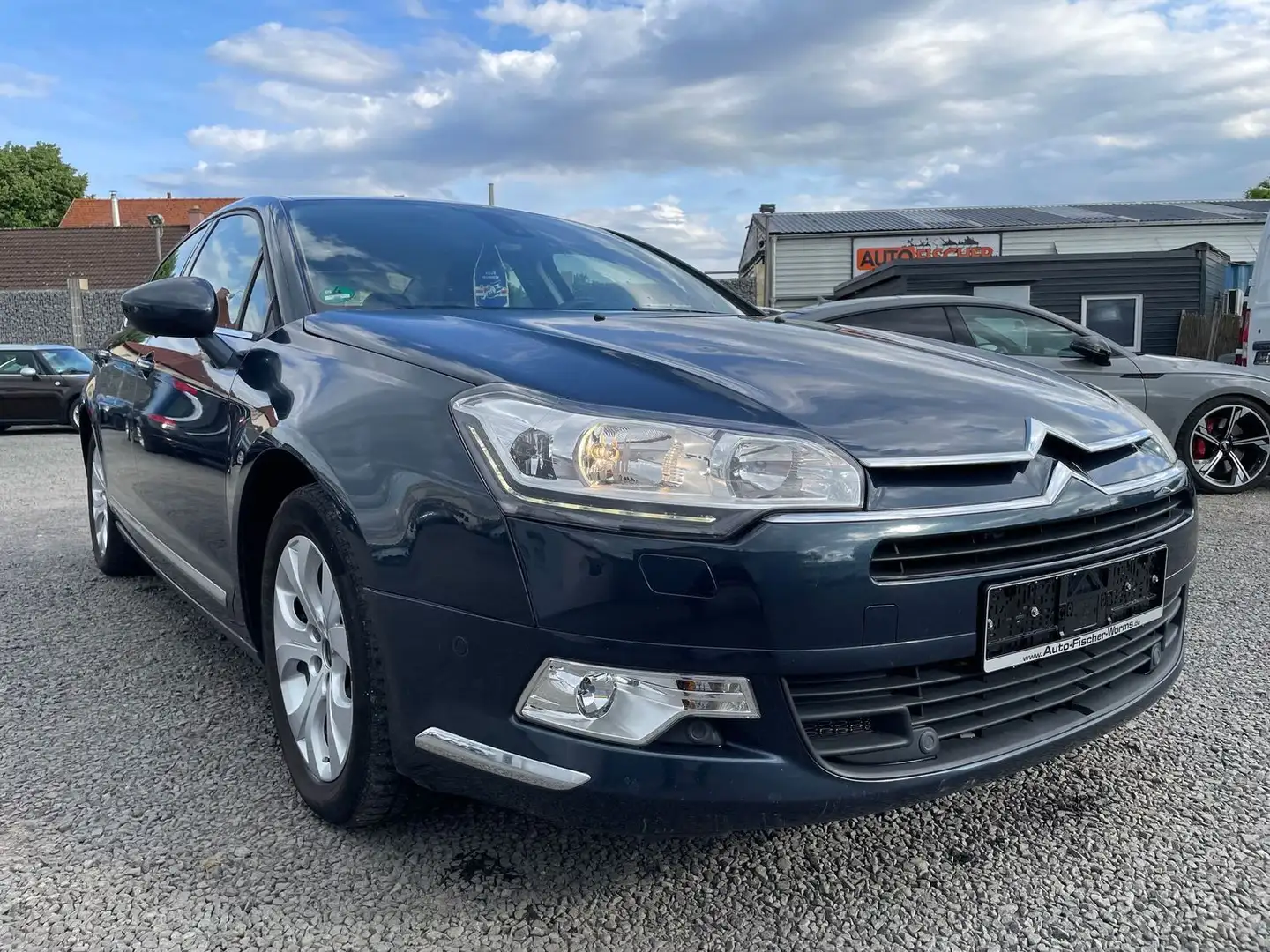 Citroen C5 Selection Blu/Azzurro - 1