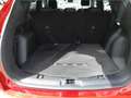 Ford Kuga ST-Line 2.5 Duratec PHEV 165kW Auto 225CV Rojo - thumbnail 7