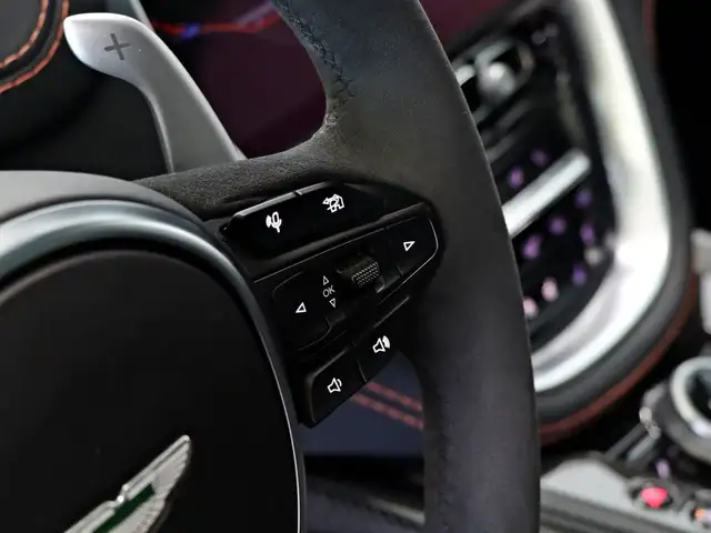 Aston Martin DBX view 11