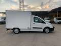 Fiat scudo con cassa frigo ATP FRCX 2026 Bianco - thumbnail 3