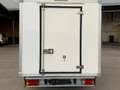 Fiat scudo con cassa frigo ATP FRCX 2026 Bianco - thumbnail 4