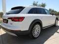 Audi A4 allroad Quattro 2.0 tdi Business Evolution 190cv s-tronic Blanc - thumbnail 6
