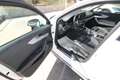 Audi A4 allroad Quattro 2.0 tdi Business Evolution 190cv s-tronic Blanc - thumbnail 16