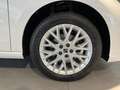 SEAT Ibiza 1.0 TSI S&S Special Edition 115 Blanco - thumbnail 4