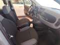 Fiat Panda Panda 1.2 Pop s Grigio - thumbnail 14