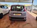 Fiat Panda Panda 1.2 Pop s Grigio - thumbnail 6