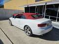 Audi A5 Cabrio 2.0 TFSI Multitronic 211 Blanc - thumbnail 39