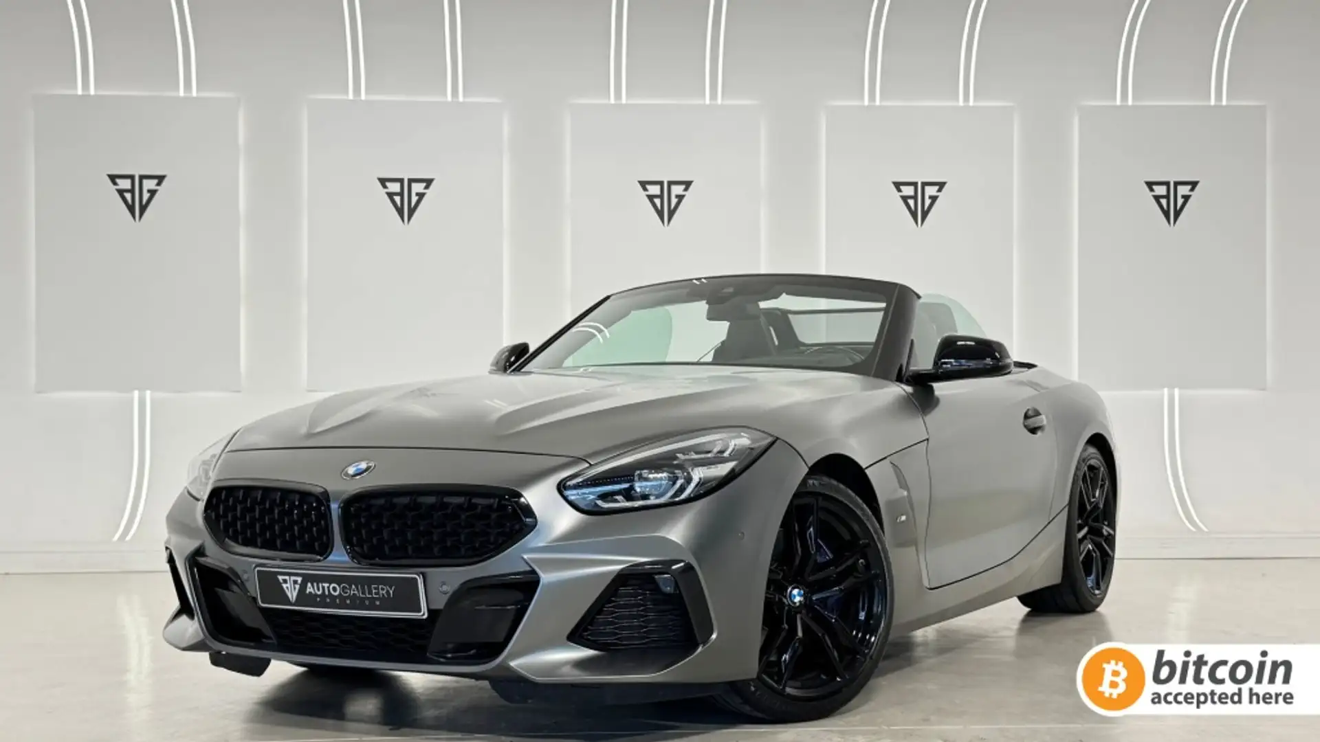 BMW Z4 sDrive 30i Gris - 1