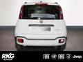 Fiat Panda Cross 1.0 Mild Hybrid EU6d Komfort Tech Cross Wit - thumbnail 4