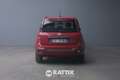 Fiat Panda 1.0 Firefly Hybrid 70CV Cross 5p.ti Rosso - thumbnail 5
