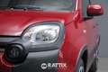 Fiat Panda 1.0 Firefly Hybrid 70CV Cross 5p.ti Rosso - thumbnail 3