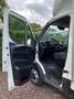 Iveco Daily 35C16 Achterdeuren (15 diverse modellen op voorraa Wit - thumbnail 16