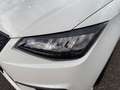 SEAT Ibiza 1.0 TSI Reference 15'' Aluräder Blanc - thumbnail 4