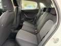 SEAT Ibiza 1.0 TSI Reference 15'' Aluräder Blanc - thumbnail 9