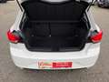 SEAT Ibiza 1.0 TSI Reference 15'' Aluräder Blanc - thumbnail 13