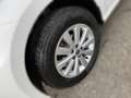 SEAT Ibiza 1.0 TSI Reference 15'' Aluräder Blanc - thumbnail 5