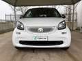 smart forTwo 70 1.0 twinamic AUTOMATICA OK NEOPATENTATI Blanc - thumbnail 2