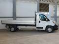 Fiat Ducato 35 LH1 2.3 mjt 140cv Cassone Aperto Blanc - thumbnail 8